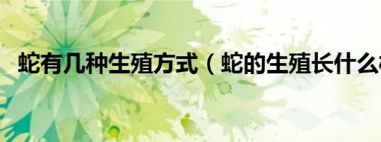 蛇有几种生殖方式（蛇的生殖长什么样的）