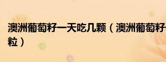 澳洲葡萄籽一天吃几颗（澳洲葡萄籽一天吃几粒）