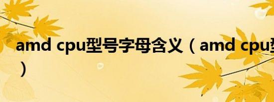 amd cpu型号字母含义（amd cpu型号大全）