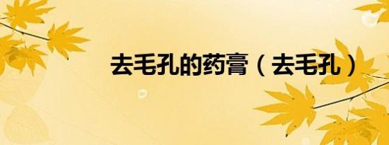 去毛孔的药膏（去毛孔）