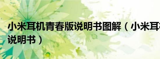 小米耳机青春版说明书图解（小米耳机青春版说明书）