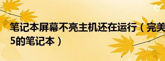 笔记本屏幕不亮主机还在运行（完美运行gta5的笔记本）