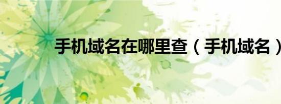 手机域名在哪里查（手机域名）
