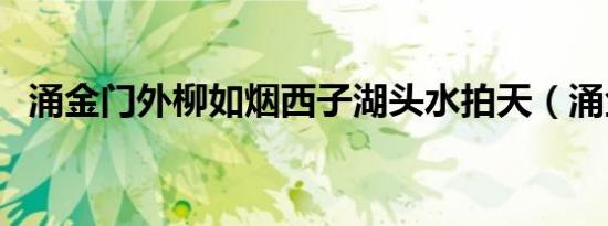 涌金门外柳如烟西子湖头水拍天（涌金门）
