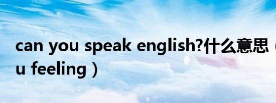 can you speak english?什么意思（can you feeling）