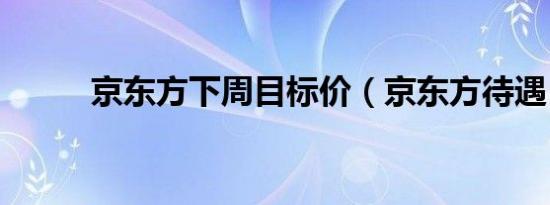 京东方下周目标价（京东方待遇）