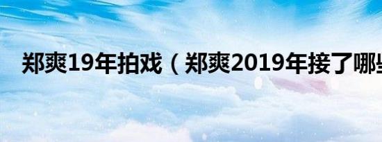 郑爽19年拍戏（郑爽2019年接了哪些戏）