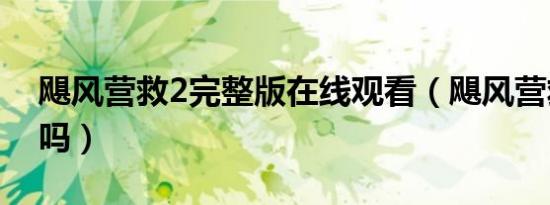 飓风营救2完整版在线观看（飓风营救2好看吗）