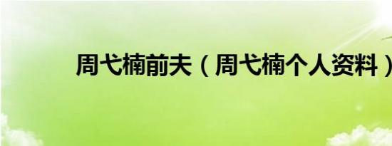 周弋楠前夫（周弋楠个人资料）