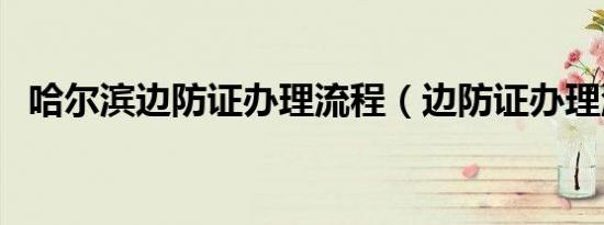 哈尔滨边防证办理流程（边防证办理流程）