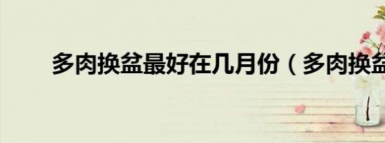 多肉换盆最好在几月份（多肉换盆）