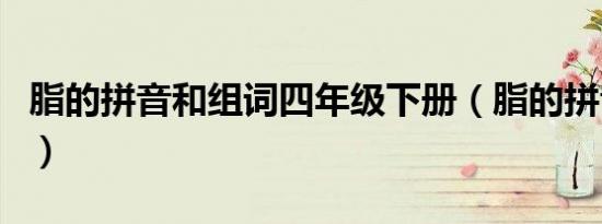 脂的拼音和组词四年级下册（脂的拼音和组词）