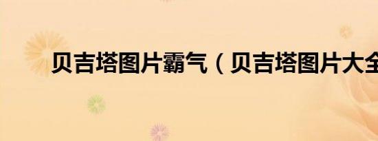 贝吉塔图片霸气（贝吉塔图片大全）
