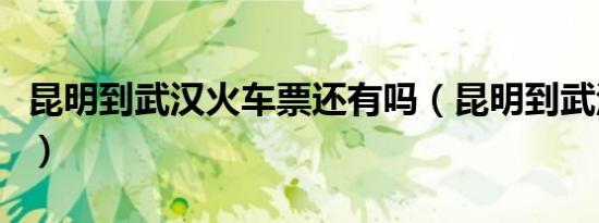 昆明到武汉火车票还有吗（昆明到武汉火车票）