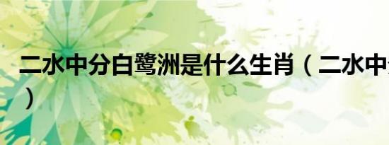 二水中分白鹭洲是什么生肖（二水中分白鹭洲）