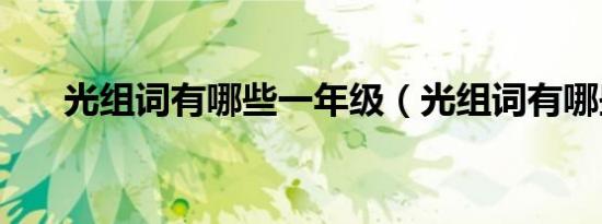 光组词有哪些一年级（光组词有哪些）