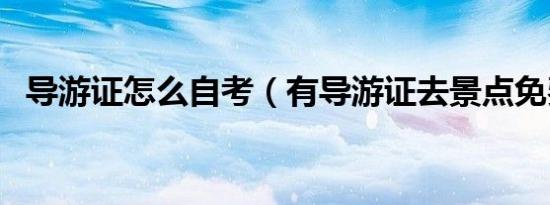 导游证怎么自考（有导游证去景点免费吗）