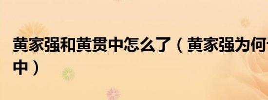 黄家强和黄贯中怎么了（黄家强为何讨厌黄贯中）