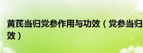 黄芪当归党参作用与功效（党参当归作用与功效）
