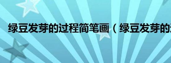 绿豆发芽的过程简笔画（绿豆发芽的过程）