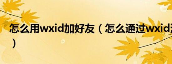 怎么用wxid加好友（怎么通过wxid添加好友）
