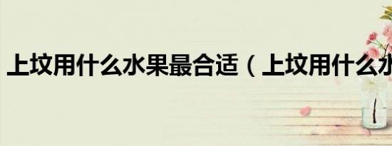 上坟用什么水果最合适（上坟用什么水果好）