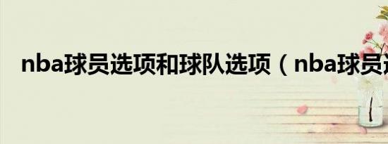 nba球员选项和球队选项（nba球员选项）