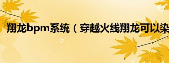翔龙bpm系统（穿越火线翔龙可以染色不）