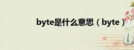 byte是什么意思（byte）