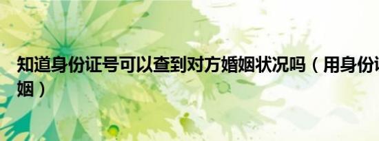 知道身份证号可以查到对方婚姻状况吗（用身份证号查询婚姻）