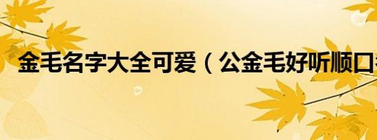 金毛名字大全可爱（公金毛好听顺口名字）
