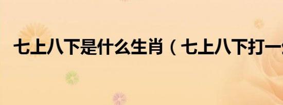 七上八下是什么生肖（七上八下打一生肖）