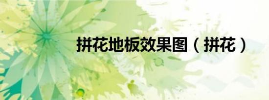 拼花地板效果图（拼花）