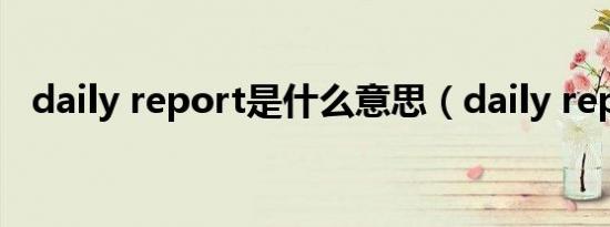 daily report是什么意思（daily report）