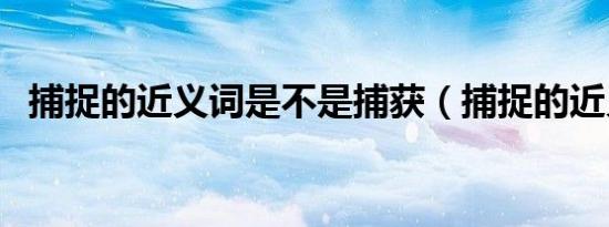 捕捉的近义词是不是捕获（捕捉的近义词）