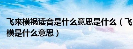 飞来横祸读音是什么意思是什么（飞来横祸的横是什么意思）