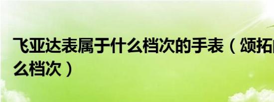 飞亚达表属于什么档次的手表（颂拓的表是什么档次）