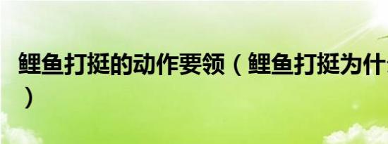 鲤鱼打挺的动作要领（鲤鱼打挺为什么起不来）