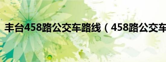丰台458路公交车路线（458路公交车路线）