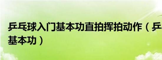 乒乓球入门基本功直拍挥拍动作（乒乓球入门基本功）