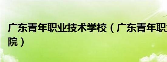 广东青年职业技术学校（广东青年职业技术学院）