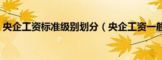 央企工资标准级别划分（央企工资一般多少）