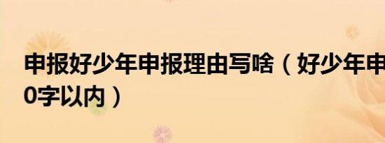申报好少年申报理由写啥（好少年申报理由50字以内）