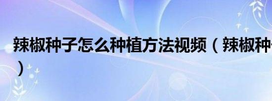 辣椒种子怎么种植方法视频（辣椒种子怎么种）