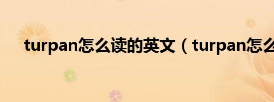 turpan怎么读的英文（turpan怎么读）