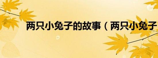 两只小兔子的故事（两只小兔子）