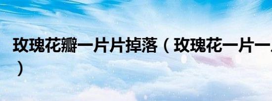 玫瑰花瓣一片片掉落（玫瑰花一片一片片掉落）