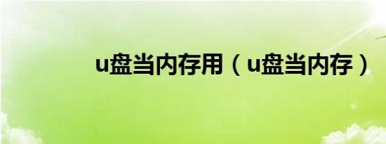 u盘当内存用（u盘当内存）