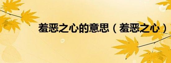 羞恶之心的意思（羞恶之心）