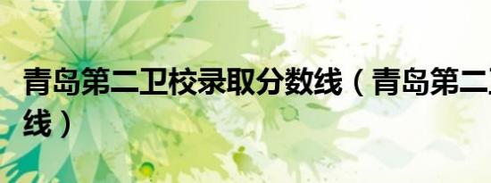 青岛第二卫校录取分数线（青岛第二卫校分数线）
